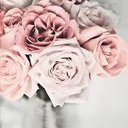 مهره (@05055432) Twitter