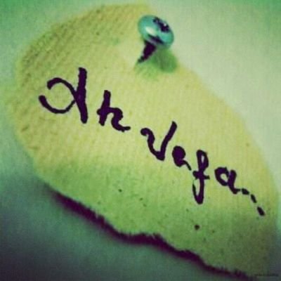 zleyhaakyasan's profile picture. 