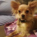 Deb Elliott-Black - @DebElliottBlack - Twitter