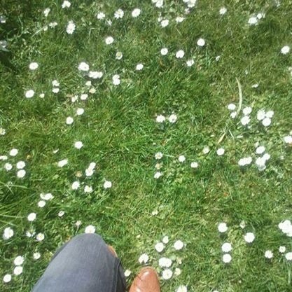 JenaWoodburn's profile picture. 