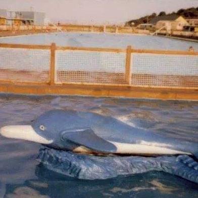 SaveKnapLido's profile picture. Campaigning to bring back the Knap Lido