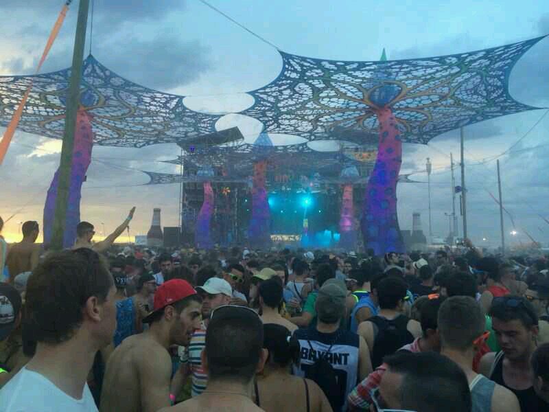 licenciado en bailarin de raves y cultivador de arboles frutales.... amante de la droga caniball