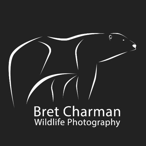 An award-winning wildlife photographer specialising in the wildlife of Africa, the Arctic and Australasia.