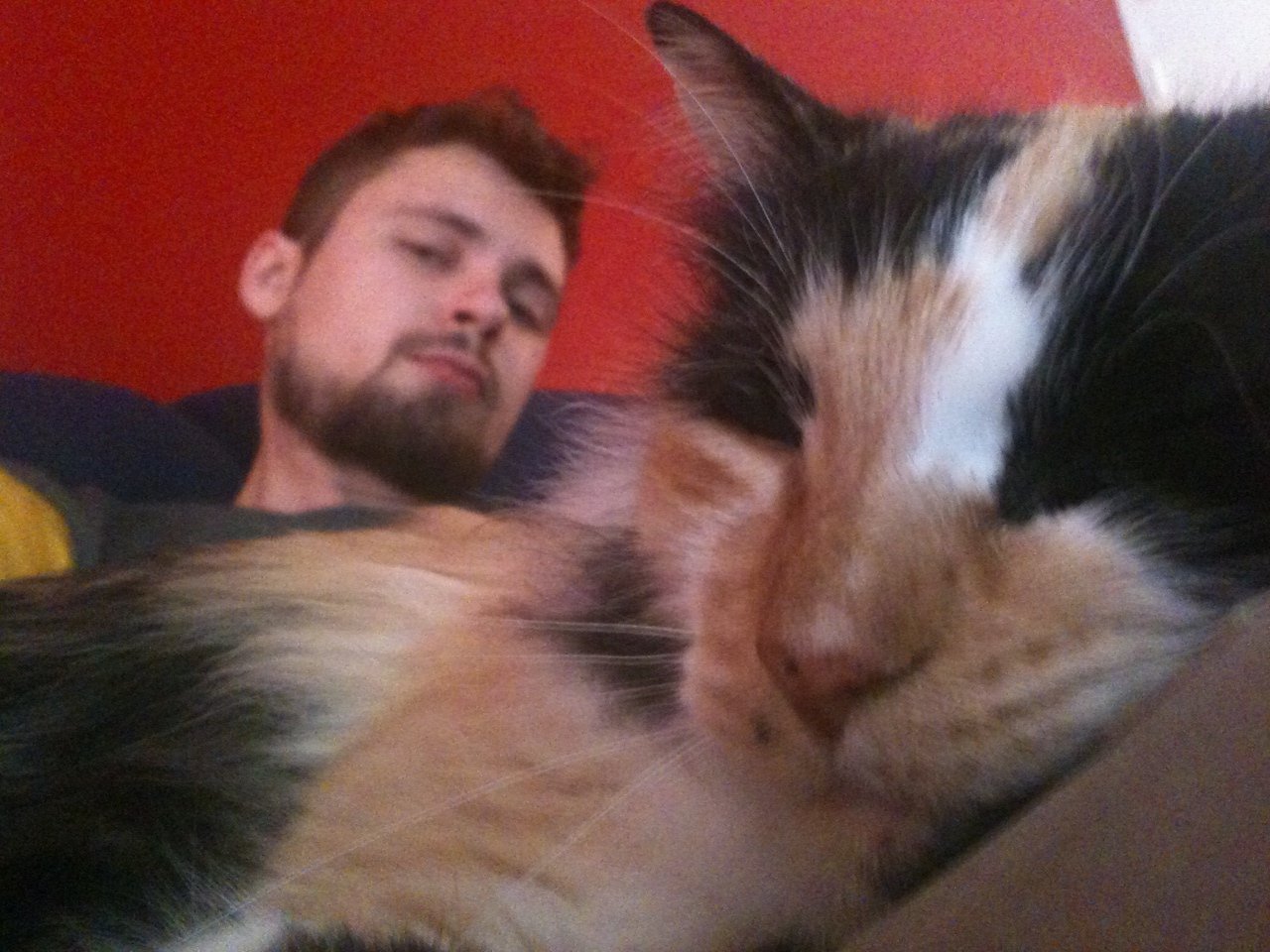 Terrafirmata's profile picture. Student Master Earth stratigraphy and sedimentrary systems, profile: earth's recources. adrenaline-kicks, boeken, muziek, flierenfluiten.