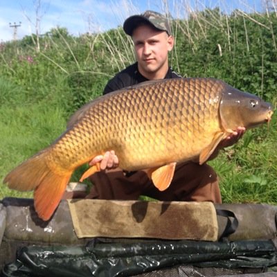 aaron_seldon's profile picture. 