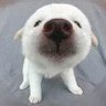 takasu4523's profile picture. 