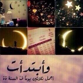 خاصSsssiggooox01 Ypcggببخا. ً