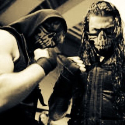 A fan of wwe and walking dead
Believe in roman reigns