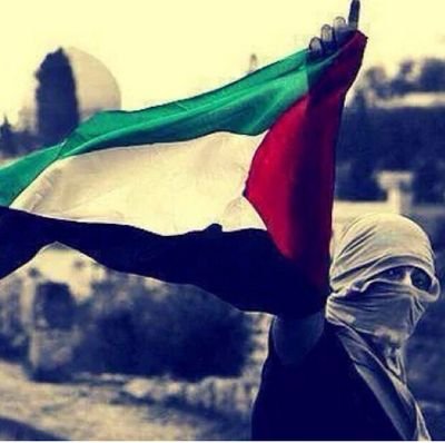 _kader34's profile picture. kader tokmak / istanbul