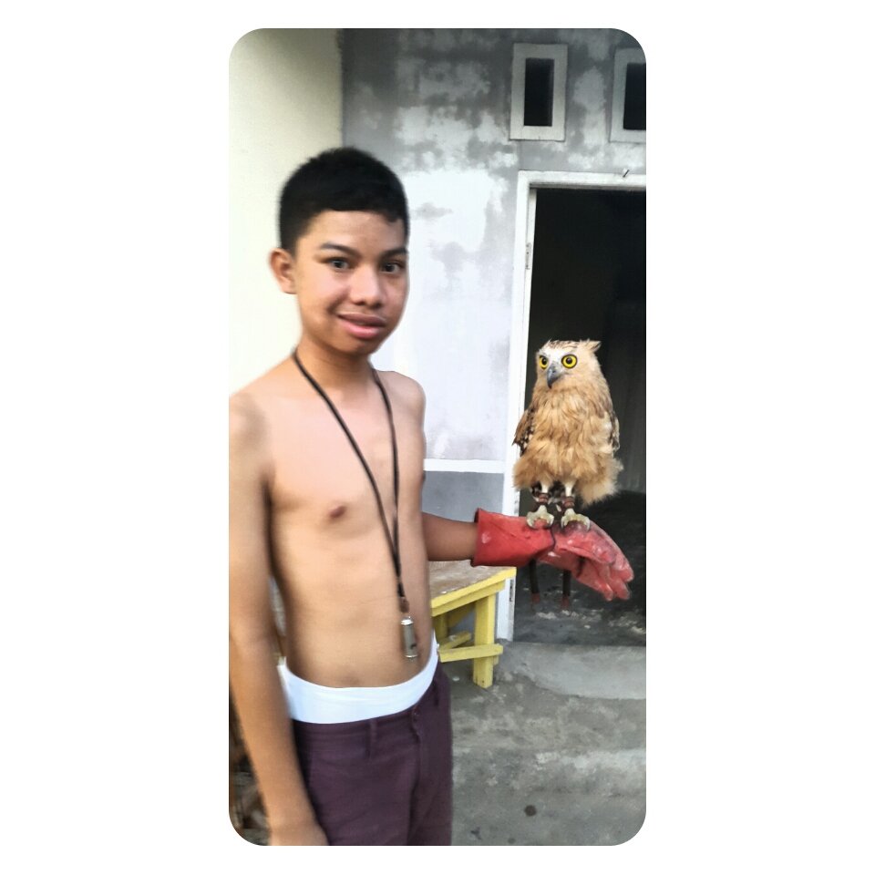 FuadHutagalung's profile picture. Vi's♥