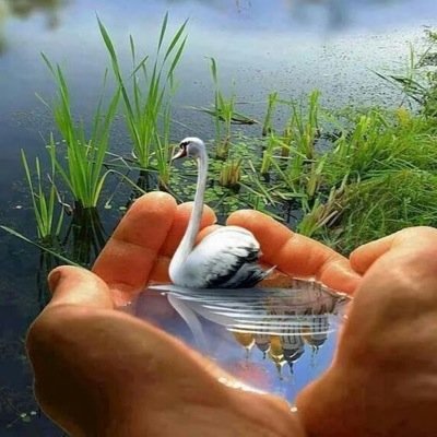وأبقى انا كما انا , كتاب ما زال مغلقا.  انتي فكرته وعنوانه وسطوره وكلماته.