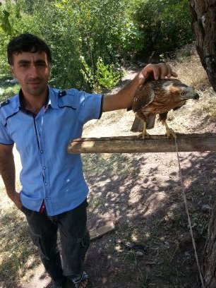 sıkıntı yok
kovala gelsin