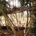 Roger André Raissac - @AndreRaissac - Twitter