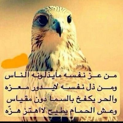 الله كريم