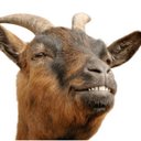 StreetwiseHercules - @paul_broadhead - Twitter