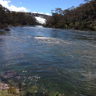 Rehabilitation of montane rivers by the delivery of environmental water in the Snowy Mountains, Australia.