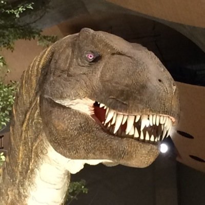 𝔸ℝ𝕌𝕊𝔸𝕌ℝ𝕌𝕊 🦖さんのプロフィール画像