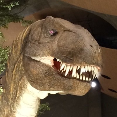 arusaurus580 Profile Picture