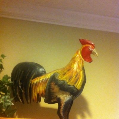 JohnJnewman's profile picture. 