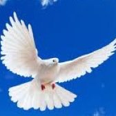 حين يسُكن رضَاا اللہُ قلوبنْاا يصُبح كل شيّء اجمٌل ♡ً