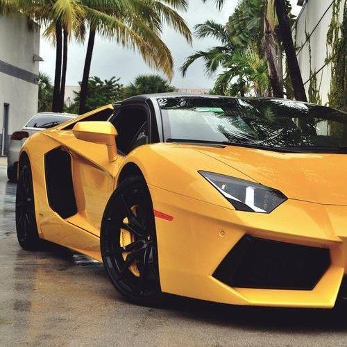 makeprogress247's profile picture. make it happen