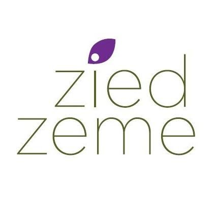 ZiedZeme Profile Picture