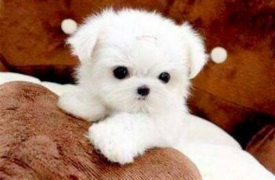 I love him and i know, he loves me too. :)