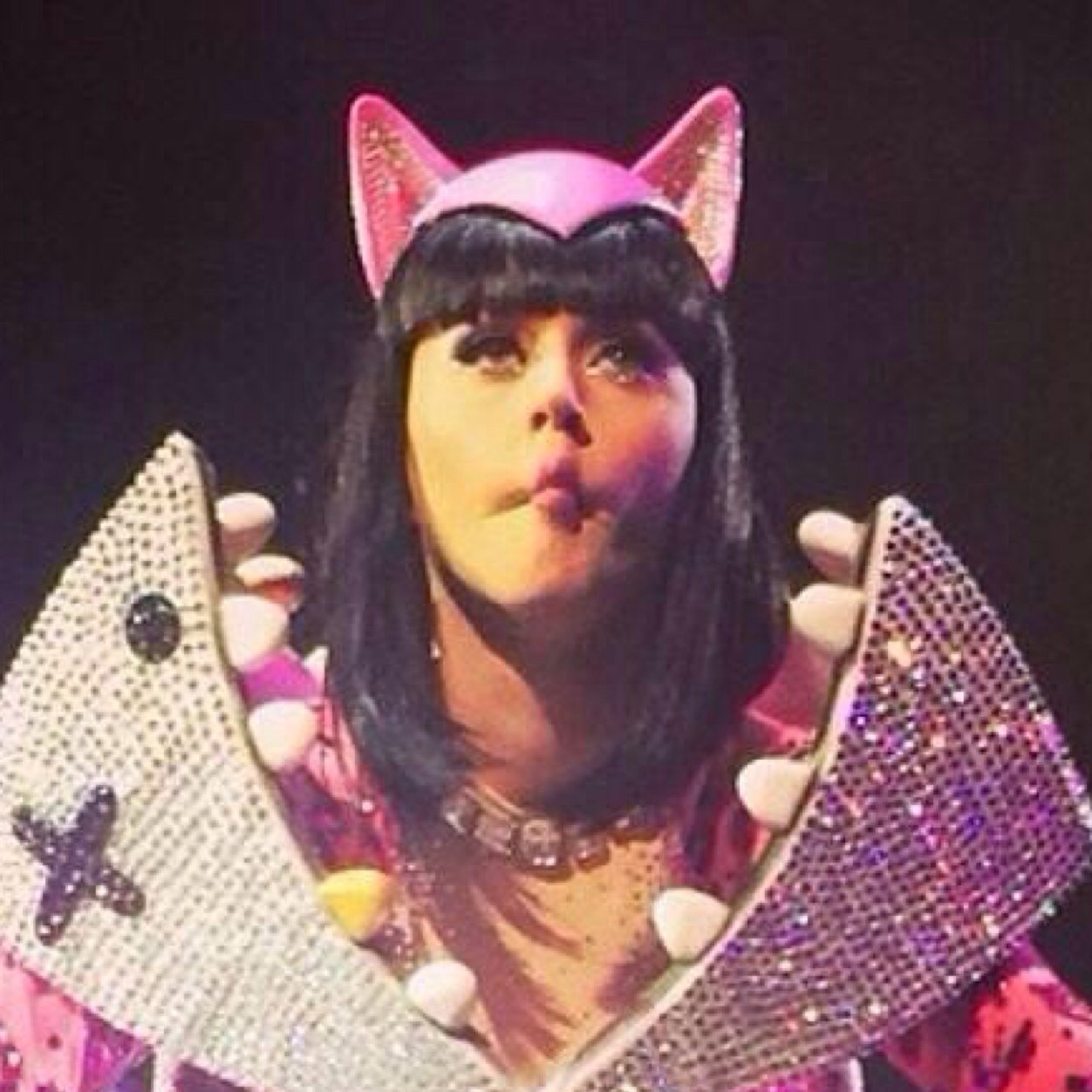 free follow from @katylovecats bc ily