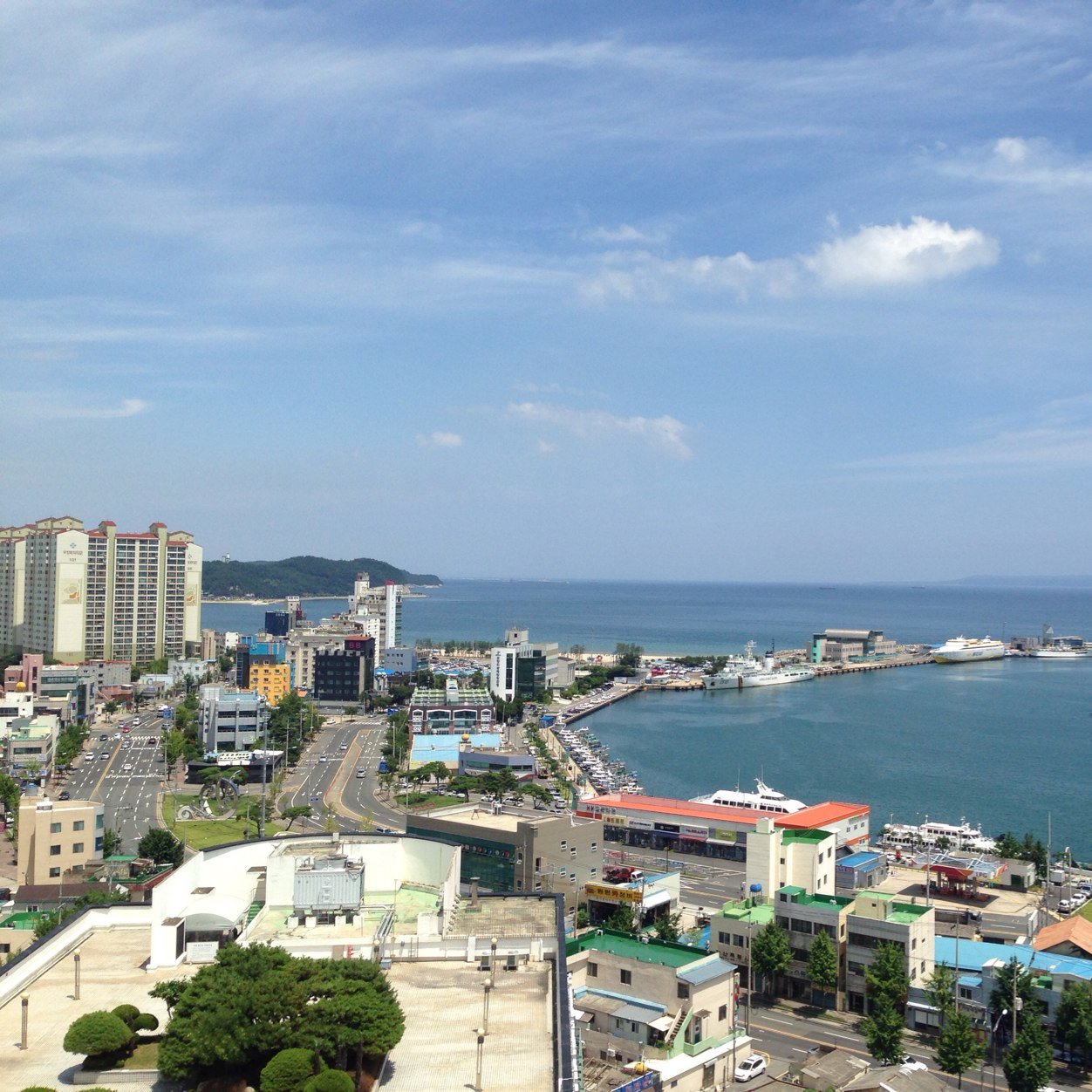미쳐야 미친다