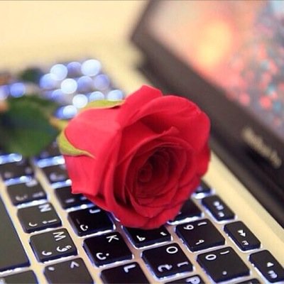 3zo0oz120's profile picture. 