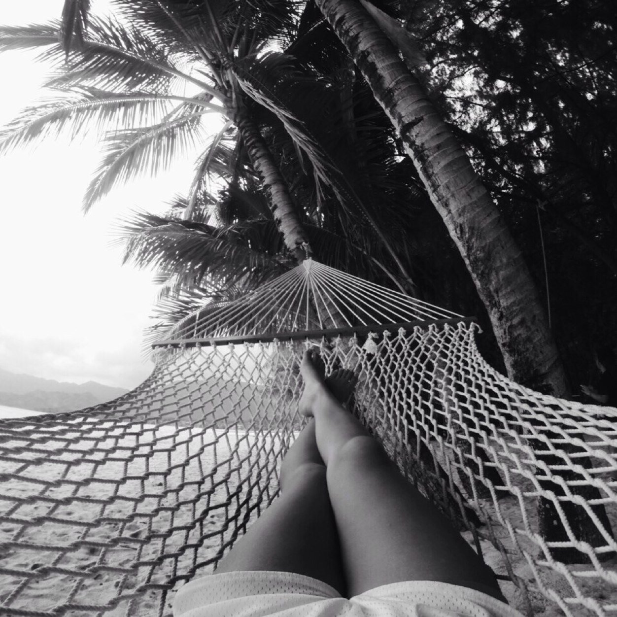 Just a small town girl living in a lonely world loving this island life and living it up with no regrets!! It would mean so much if cam followed me back :)