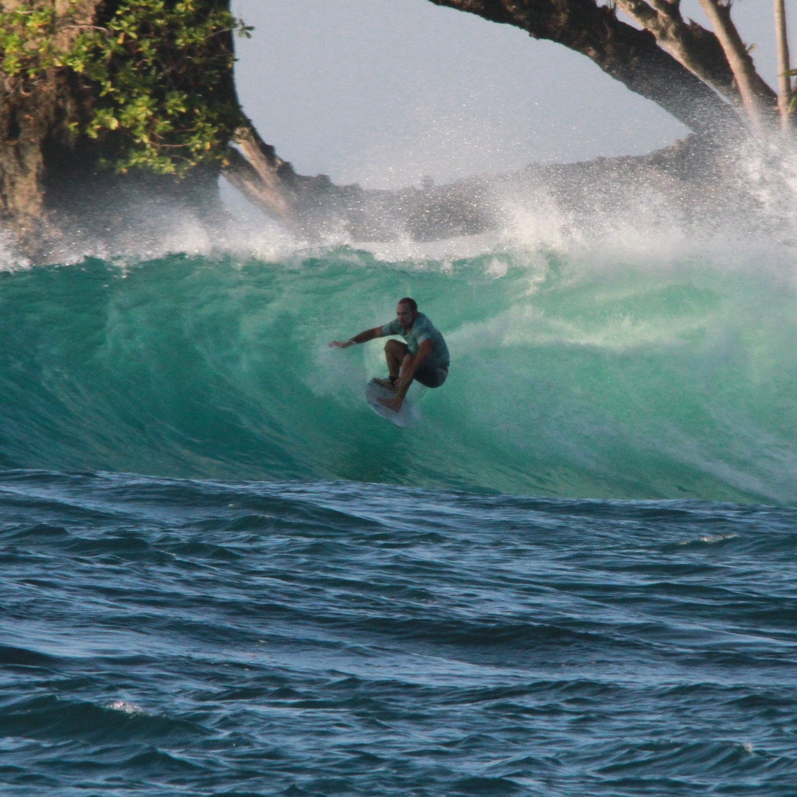 AnthonyLeoneMMA's profile picture. 