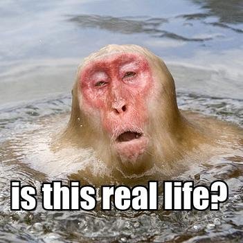 kevinmccarthy5's profile picture. I read way too much news.