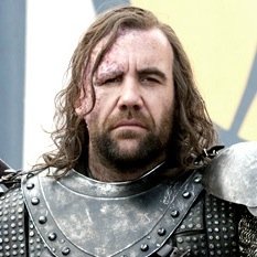Member of the Kingsguard, Younger brother of Gregor Clegane. Also known as The Hound. (GOT/ASOIAF RP)