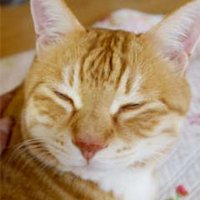 eSquisse (@esquisse_) 's Twitter Profile