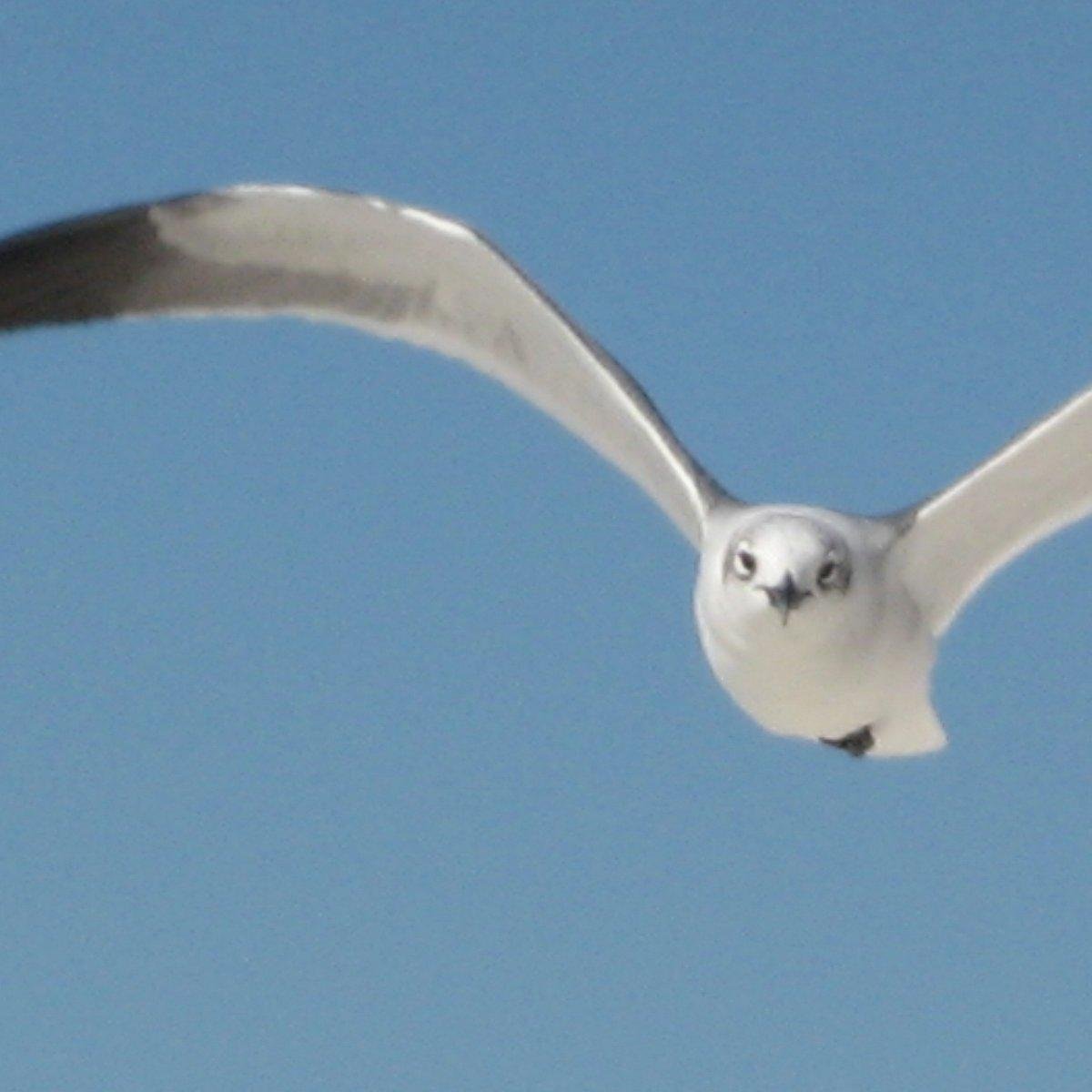 http://t.co/ZloKPNlsRQ is a dream research website that conveys the meaning of dreams.