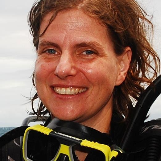 ClaudiaDankl's profile picture. Den Durchblick bewahren.