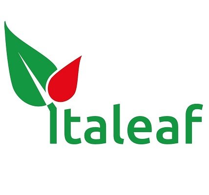 Italeaf is an italian holding. Among the subsidiaries @algoWatt and @NumanovaSpa