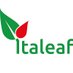 Italeaf-EN (@italeaf_en) Twitter profile photo