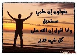 AradosSea's profile picture. 