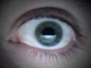 alruis's profile picture. 