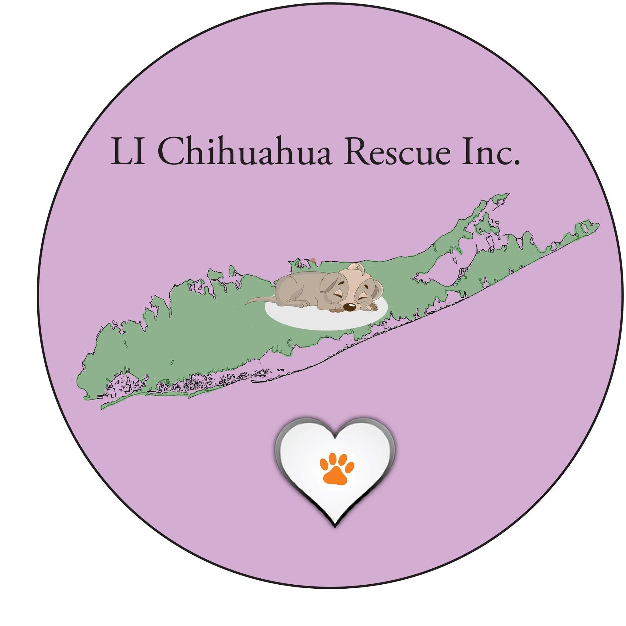 Long Island's first Chihuahua Rescue  & Sanctuary - the 2nd most euthanized breed in US Shelters today  
Please Contact Us  Email: Info@lichirescue.org