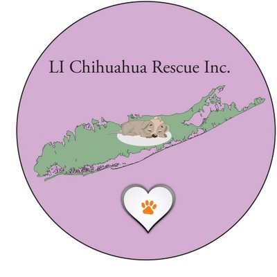 Li chihuahua store rescue
