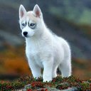 Beatriz Heredia - @bherediag - Twitter