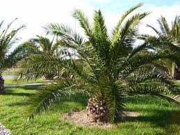 Aissalabel's profile picture. 