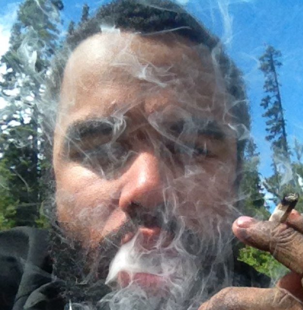 tropicaltornado's profile picture. figure it out. https://t.co/J0vfdqlQkZ https://t.co/6O9BpzcFlG https://t.co/ln1dkFBj4B