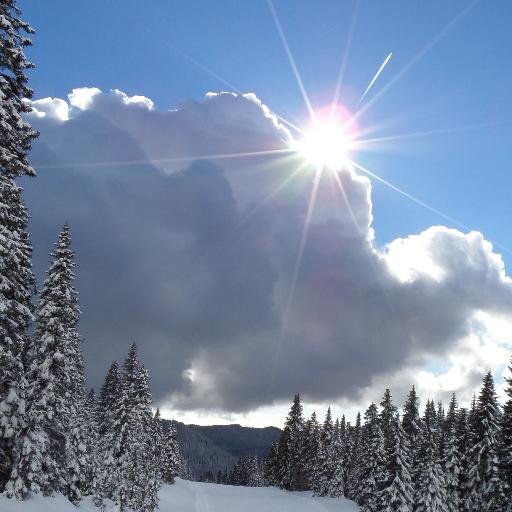 AsiagoNeve's profile picture. Settimane Bianche ad Asiago SKI-INCLUSIVE!
Trovi tutte le nostre offerte su http://t.co/mMxj8rMS
VIENI A SCIARE CON NOI!