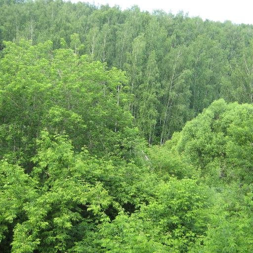 Временно политизированный