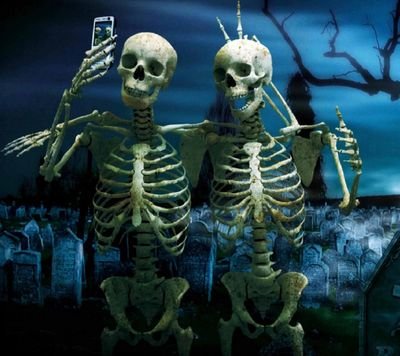 BilbyJr's profile picture. 