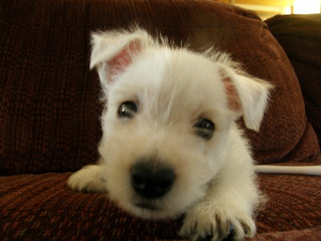 GottaBMore's profile picture. Exploring new viewpoints--
convinced life is more than chemistry!